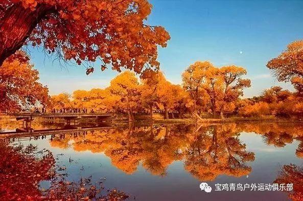 月光影视
