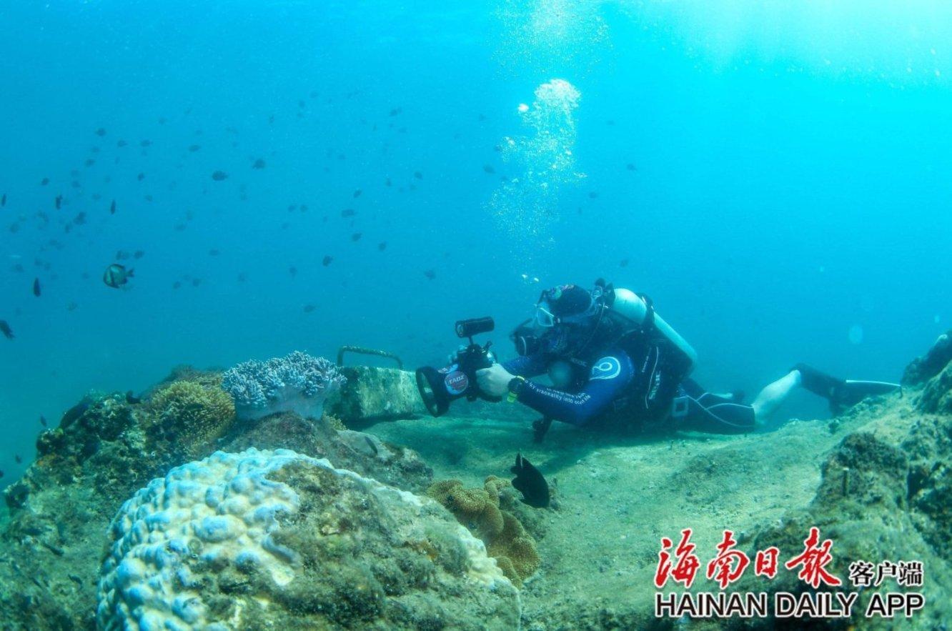 我市启动校园廉洁文化景观小品作品展示活动